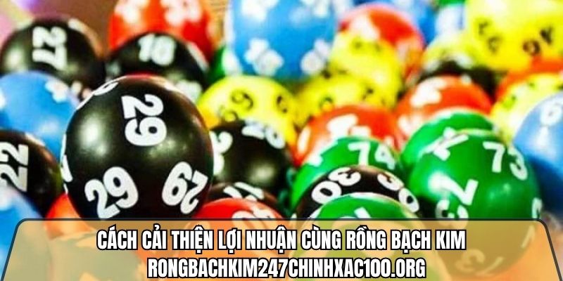 Cách cải thiện lợi nhuận cùng rồng bạch kim