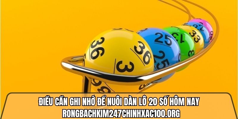 Nuôi dàn đề 20 số