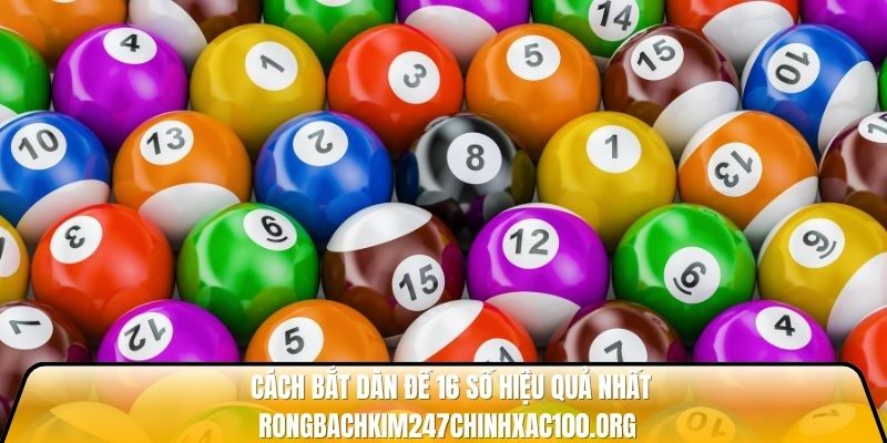 Cách bắt dàn đề 16 số hiệu quả nhất