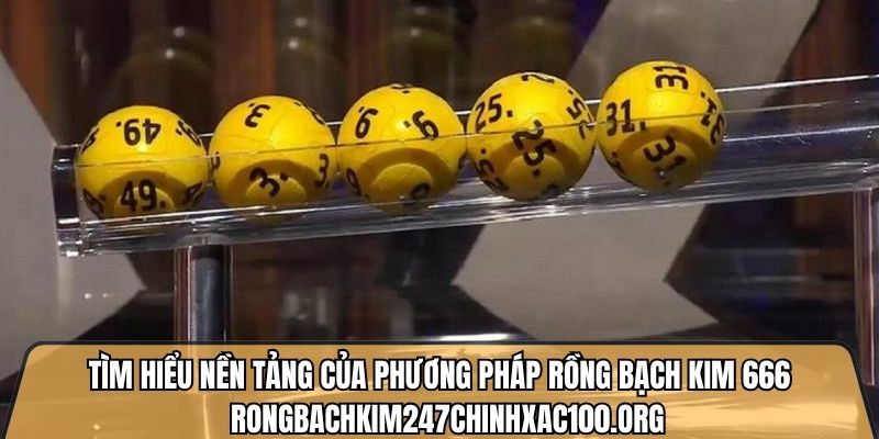 Tìm hiểu nền tảng của phương pháp rồng bạch kim 666