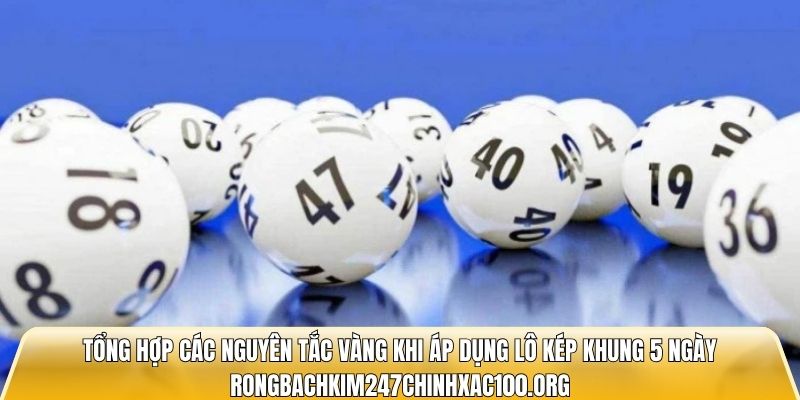 Lô Kép Khung 5 Ngày Miễn Phí