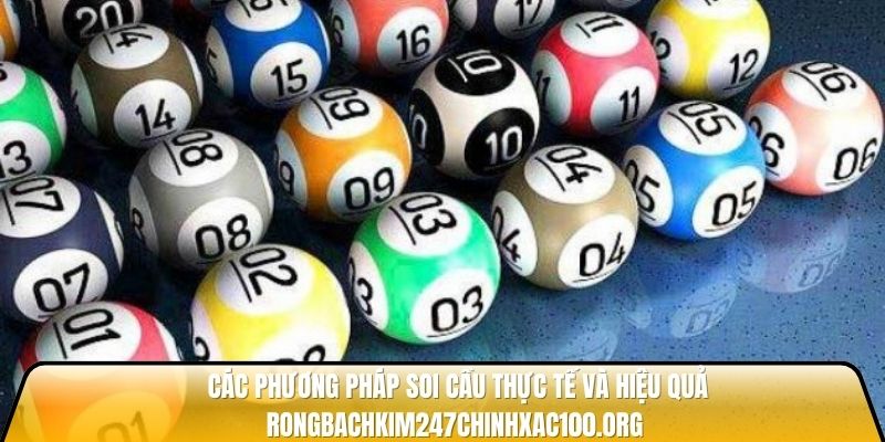 Soi cầu rồng bạch kim 247