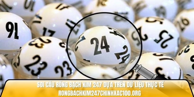 Rồng Bạch Kim 247