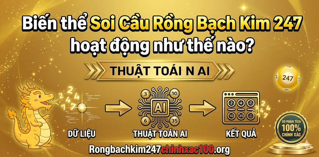 Soi cầu Rongbachkim247chinhxac100.org hoạt động như thế nào?